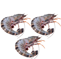 Foodking - Fast Food Restaurant WordPress Theme