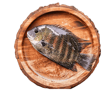 Foodking - Fast Food Restaurant WordPress Theme