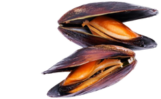 Foodking - Fast Food Restaurant WordPress Theme