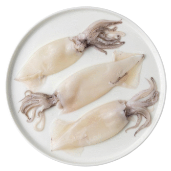 Cleaned Squids(കണവ)