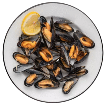 Cleaned Muscles(ചിപ്പി)