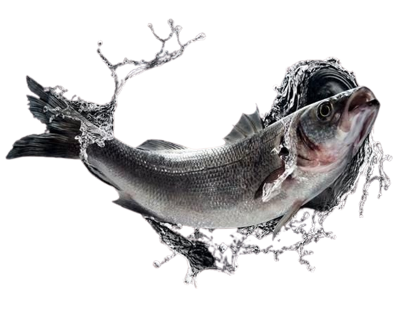 Foodking - Fast Food Restaurant WordPress Theme